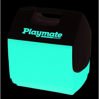 Igloo - Khlbox Eisbox  PLAYMATE PAL  6 Liter rot